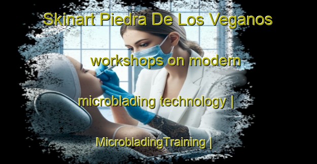 Skinart Piedra De Los Veganos workshops on modern microblading technology | MicrobladingTraining | MicrobladingClasses | SkinartTraining-Dominican Republic